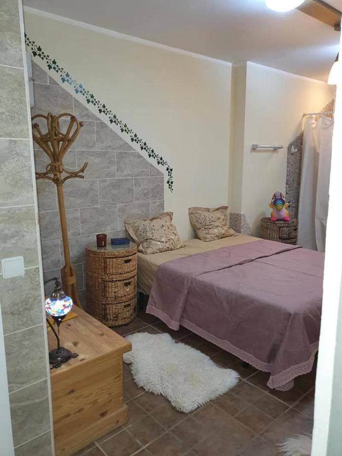 Casa Alex Villa Guardamar del Segura Dış mekan fotoğraf