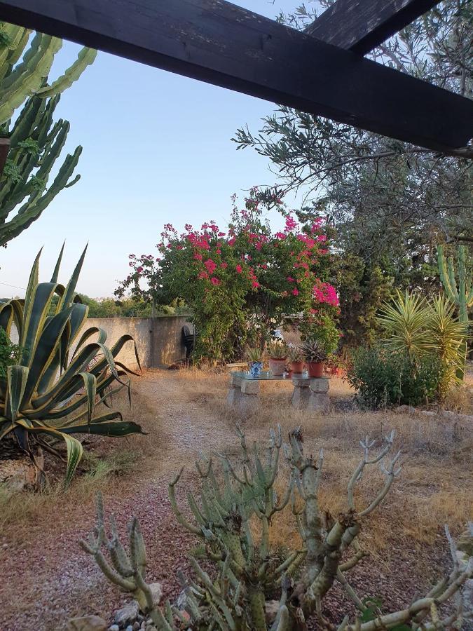 Casa Alex Villa Guardamar del Segura Dış mekan fotoğraf