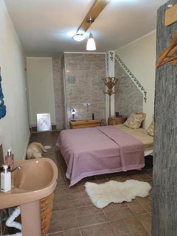 Casa Alex Villa Guardamar del Segura Dış mekan fotoğraf