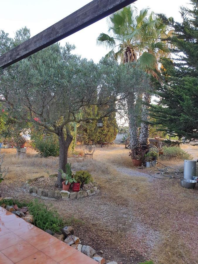 Casa Alex Villa Guardamar del Segura Dış mekan fotoğraf