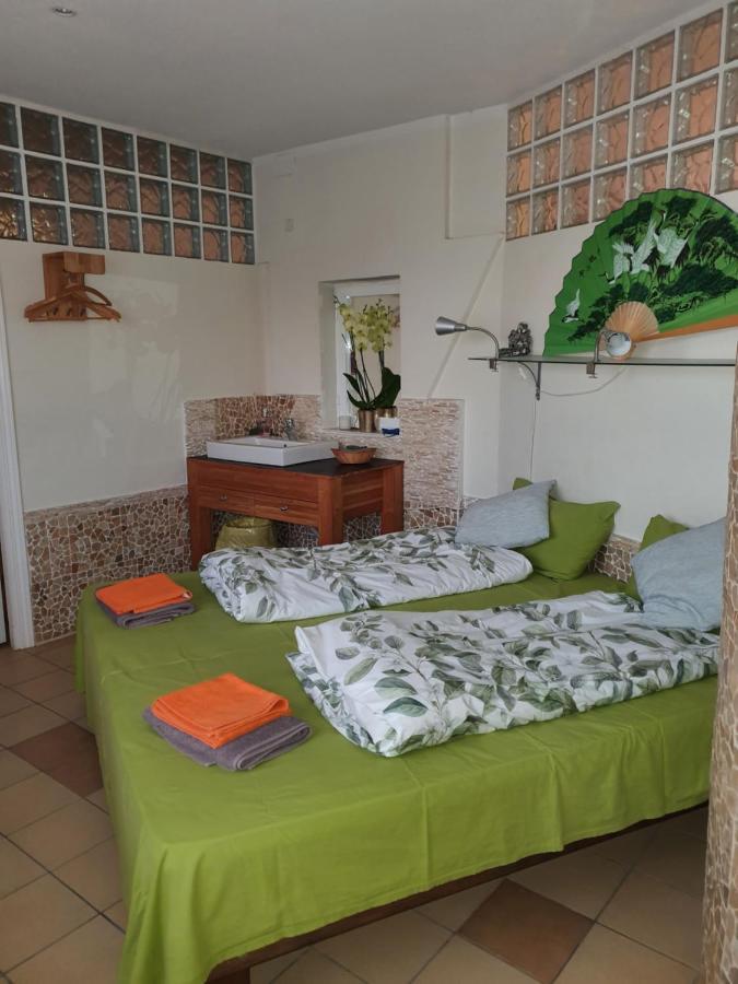 Casa Alex Villa Guardamar del Segura Dış mekan fotoğraf