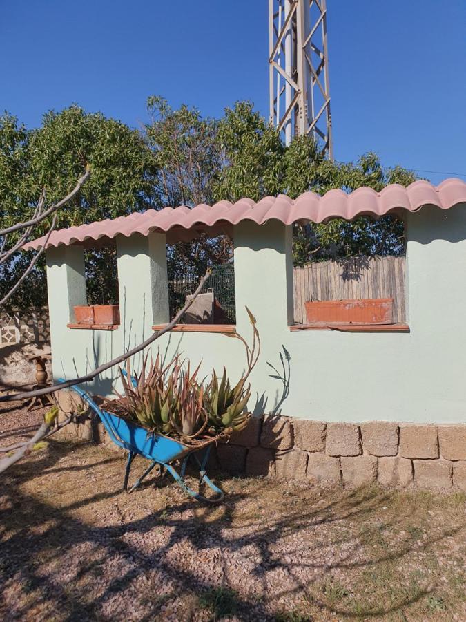 Casa Alex Villa Guardamar del Segura Dış mekan fotoğraf