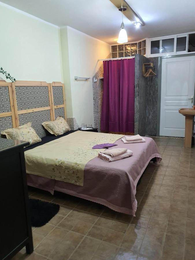 Casa Alex Villa Guardamar del Segura Dış mekan fotoğraf