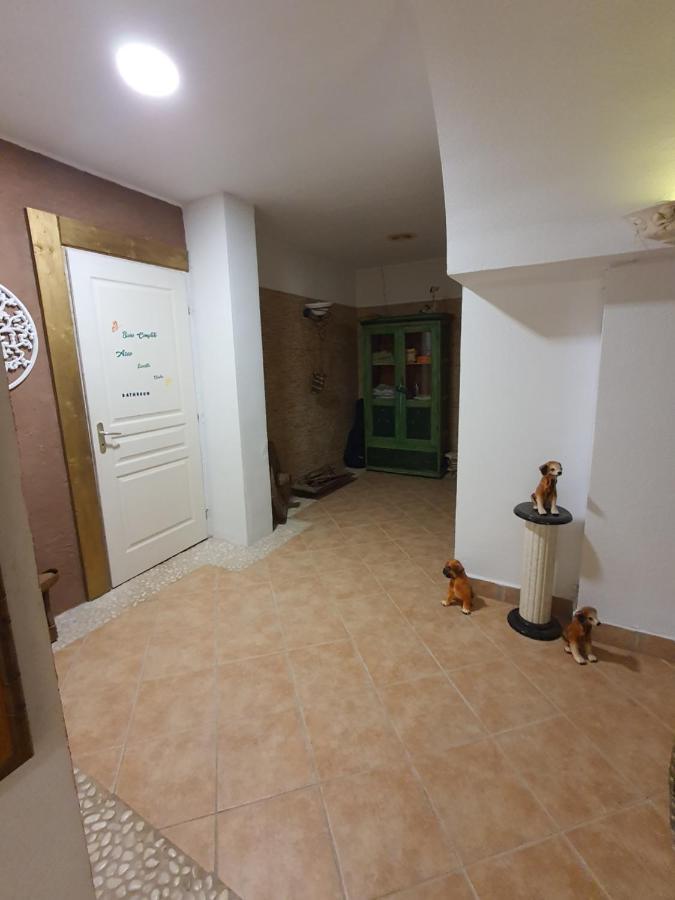 Casa Alex Villa Guardamar del Segura Dış mekan fotoğraf