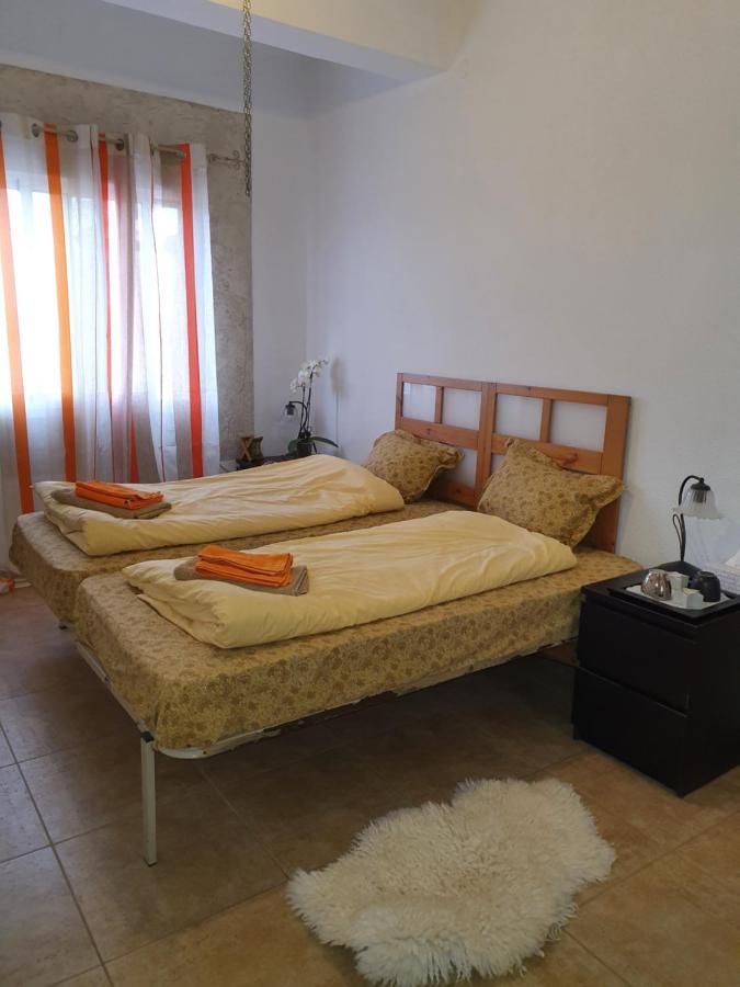 Casa Alex Villa Guardamar del Segura Dış mekan fotoğraf