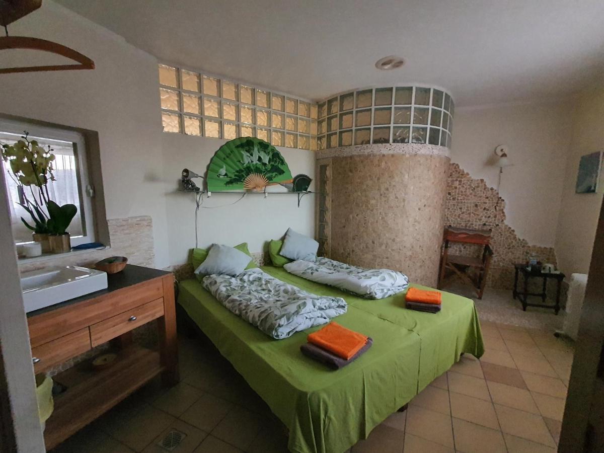 Casa Alex Villa Guardamar del Segura Dış mekan fotoğraf